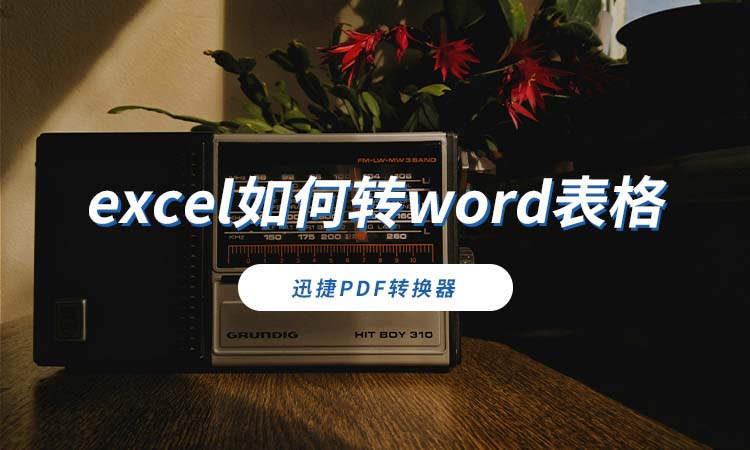 excel如何转word表格