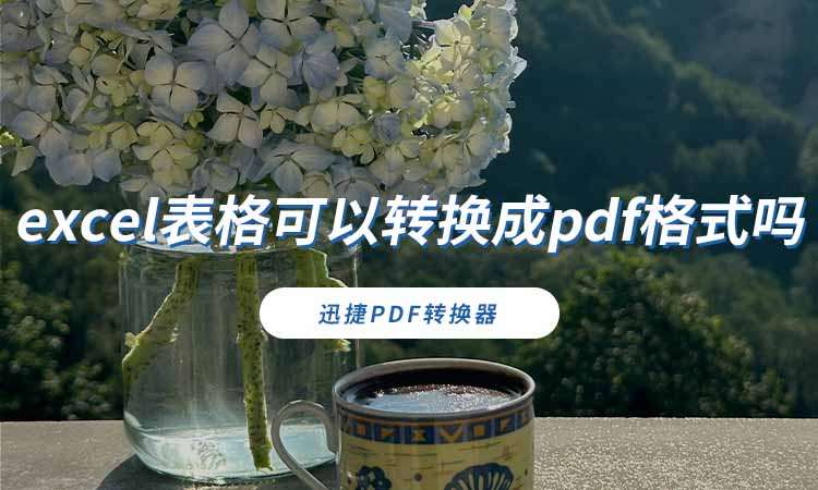 excel表格可以转换成pdf格式吗